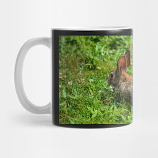 Wild Rabbit and Weeds Mug